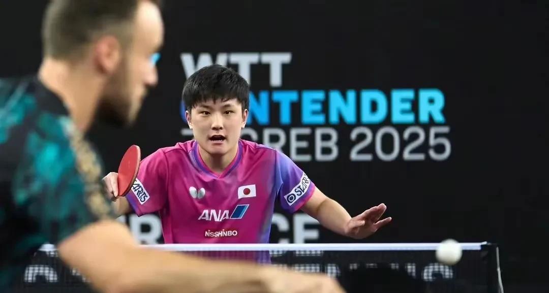 爱游戏入口-奥地利队翻盘瑞典队，张本智和高光表现