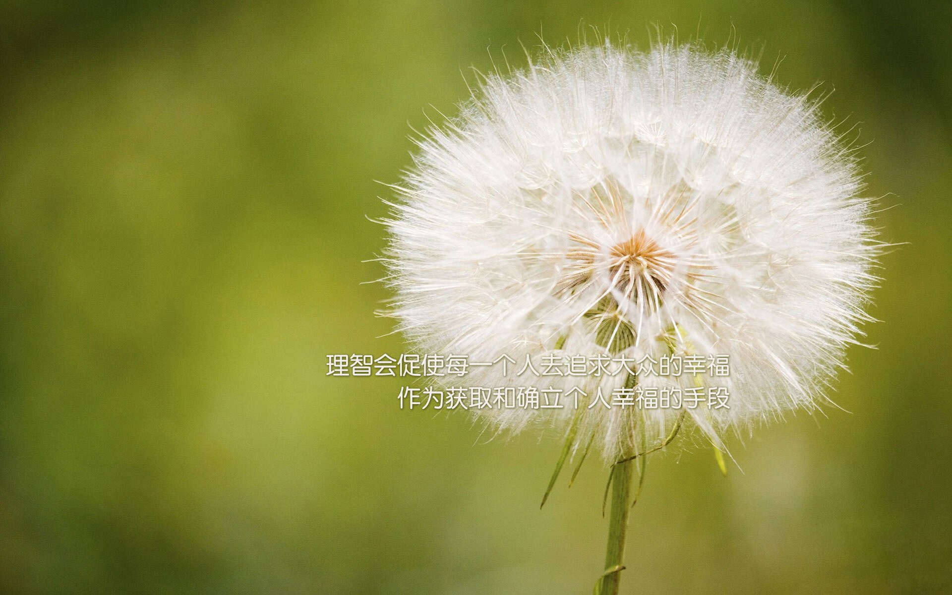 爱游戏入口-一人打穿整条防线！马琳67分钟戴帽，丹麦女足4-1碾压日本，展露欧洲霸主獠牙