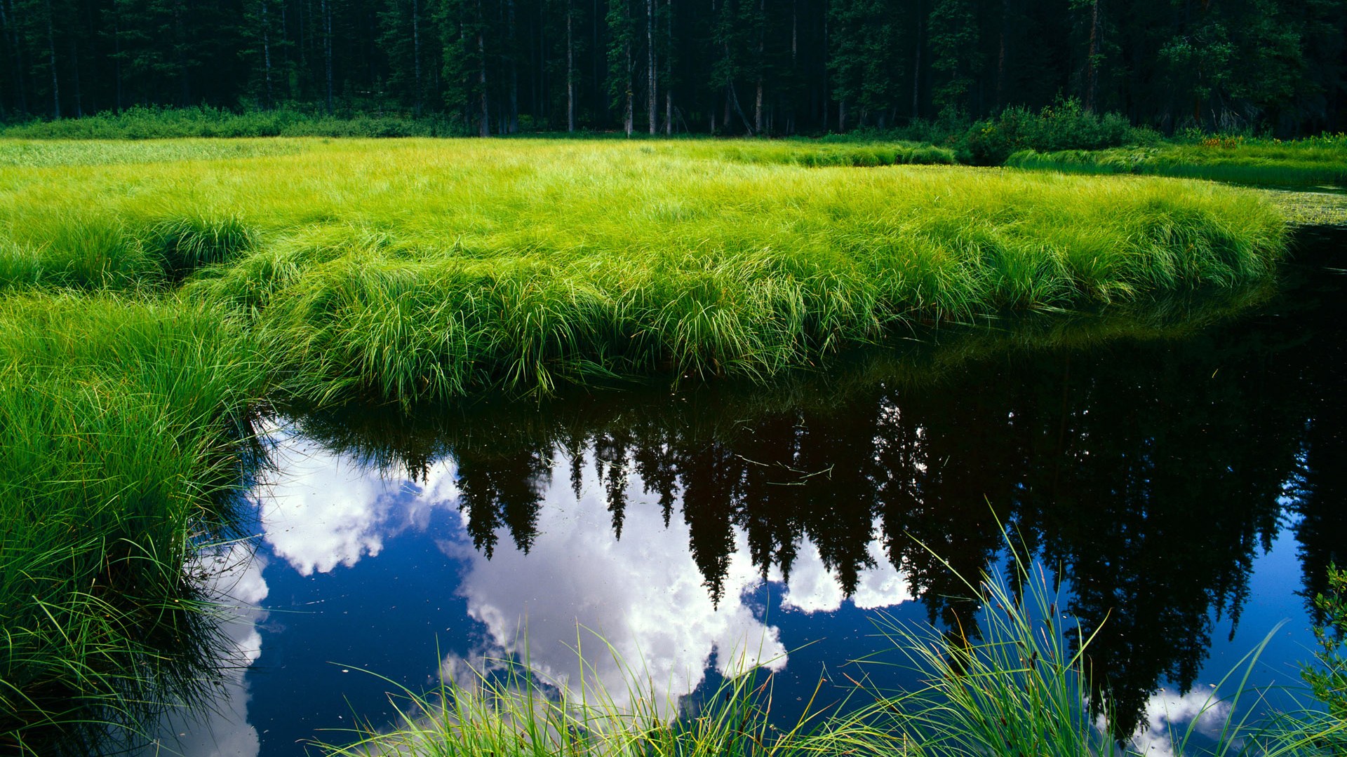 爱游戏官方入口-戈麦斯统治全场，法国队3-0碾压塞内加尔，展现世界杯冠军底蕴