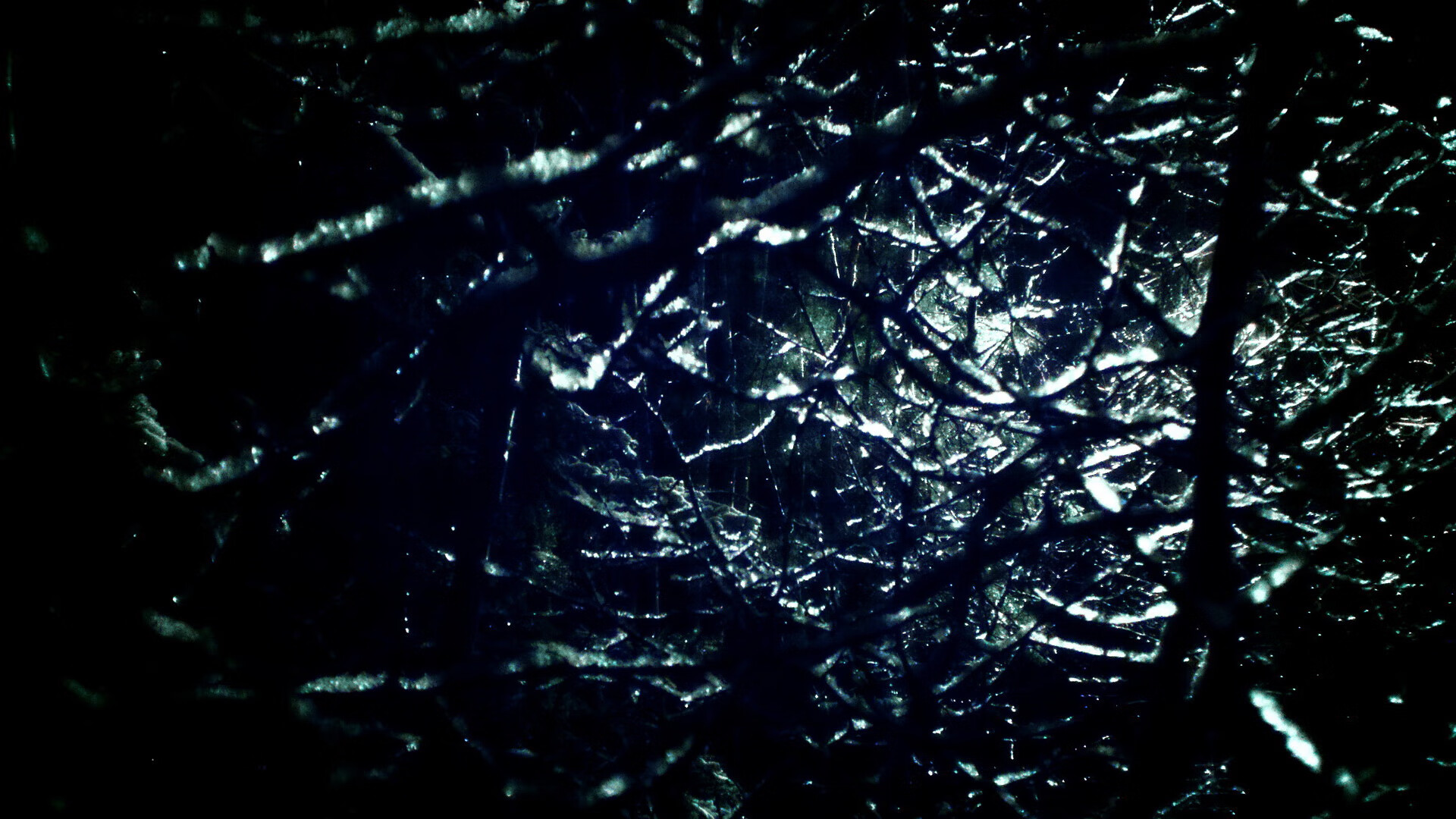 爱游戏官方入口-澳网横扫拉沃尔杯，穆雷在墨尔本公园的一场双重征服