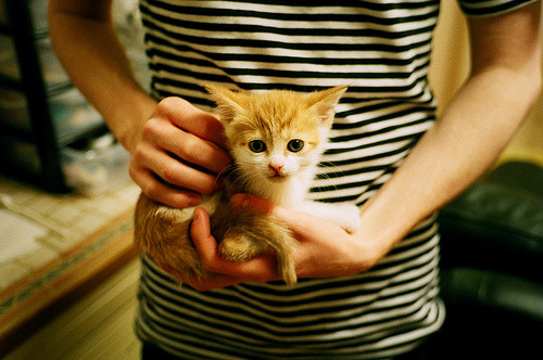 泥泞与青草之间，穆雷在巴黎红土上点燃的英伦圣火