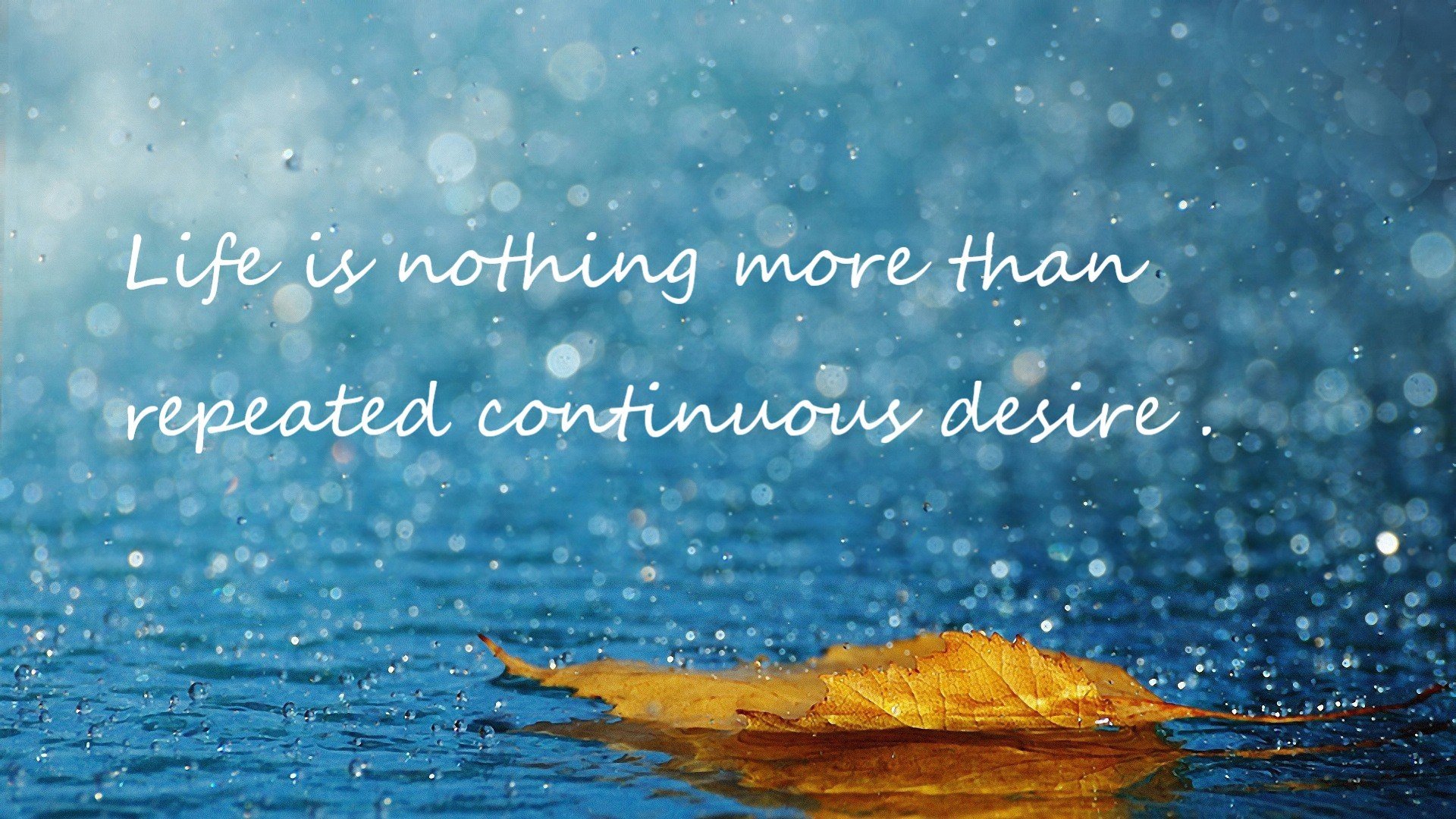 跨界主宰，小贾伦改写剧本，湖人强势晋级黄蜂