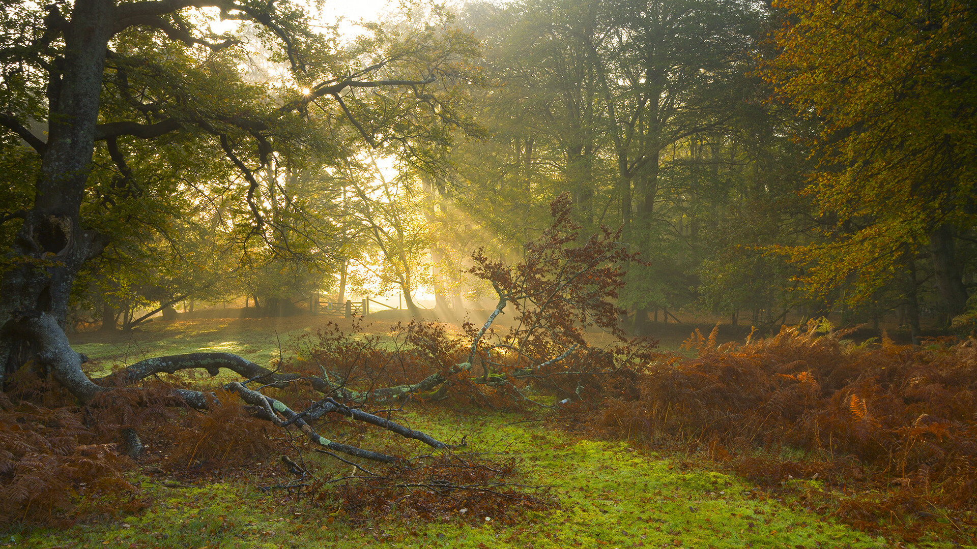 东方铁血与西方魔法,当辽宁的铠甲遇见哈利伯顿的权杖