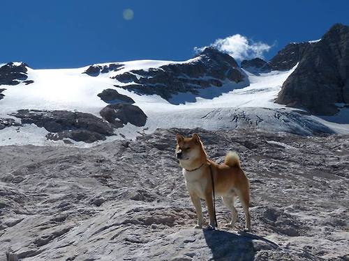 爱游戏tv-老鹰封锁公牛，奥运周期关键战的战术博弈与长远回响