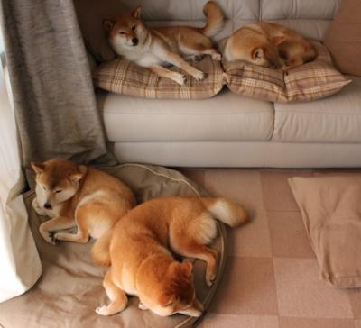 当河流决定改道,萨卡的无解与国米意志的北欧显形