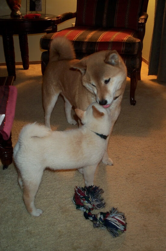 夜尽处,冰火同源,德布劳内如何在压力中完成唯一性绽放