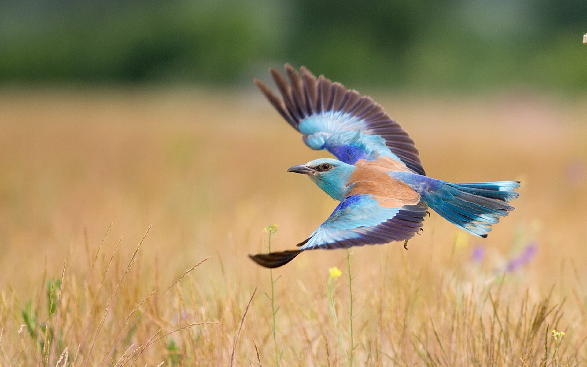 从哲学家到魔术师,一场足球赛里的觉醒三重奏