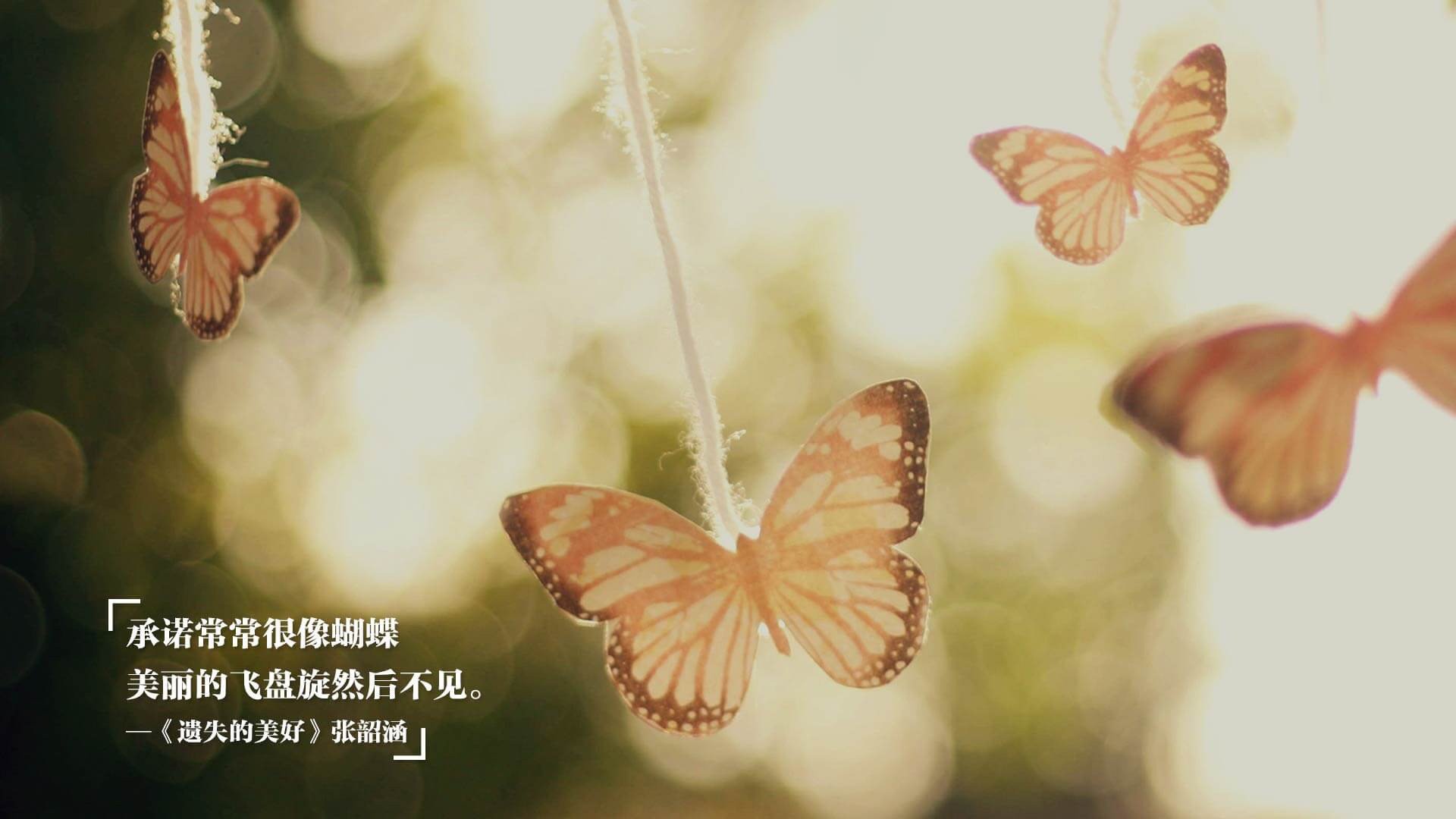 新大陆的铁壁,奥亚尔萨瓦尔如何让德国战车在南美哑火