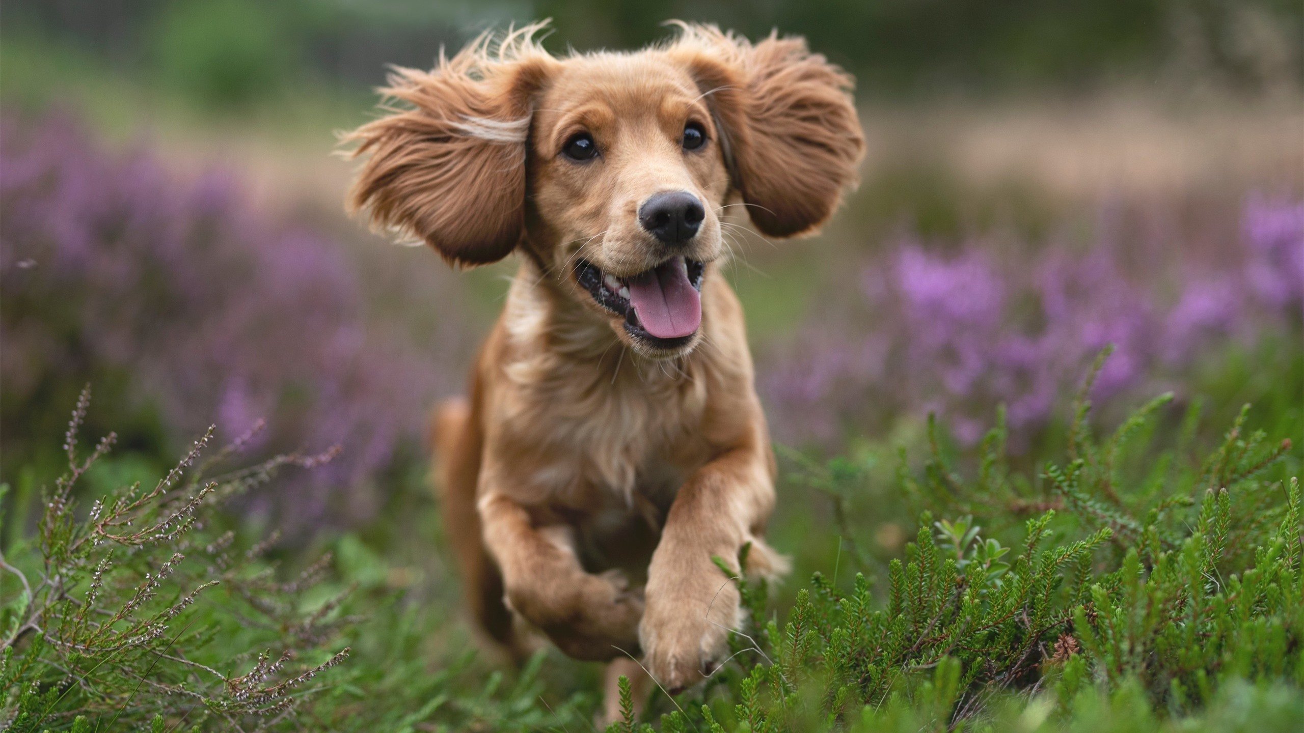 逆转乾坤，太阳如何从深渊之底升起？