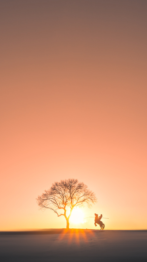 你提出的核心冲突非常有趣—将CBA的上海队与NBA的魔术队置于同一赛场，这本身就是一个充满故事张力的设定。下面我为你构思了一个基于此矛盾点的故事框架，希望能激发你的创作灵感