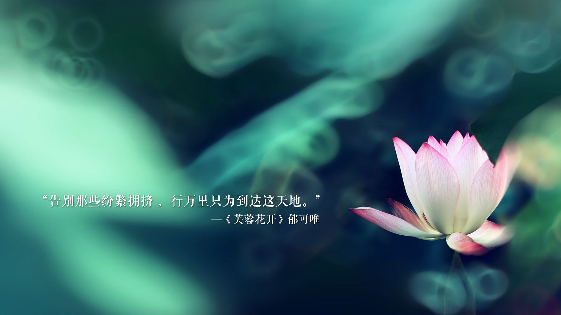 无声的共振,2026世界杯F组德国vs泰国,塔雷米如何用一记传球改写足球逻辑